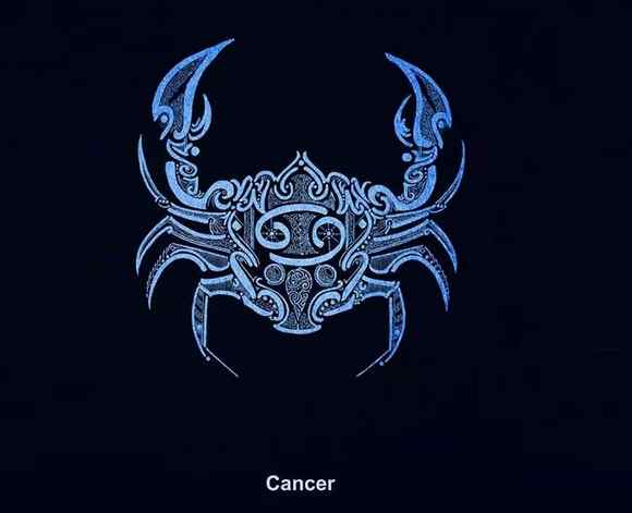 巨蟹男喜歡什麼