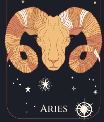 獅子座女生白羊座男生