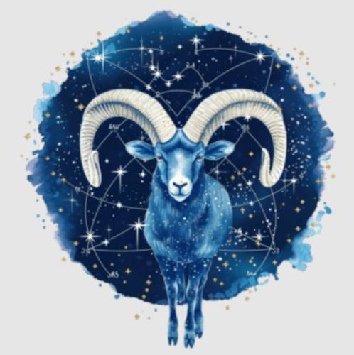 牡羊男 不讀不回