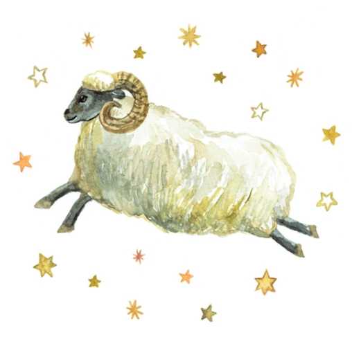 牡羊女感情變化