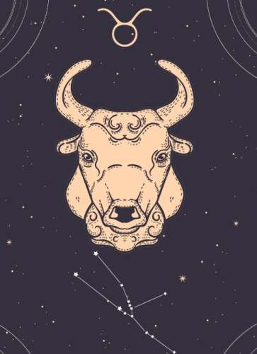 雙子女金牛男配對