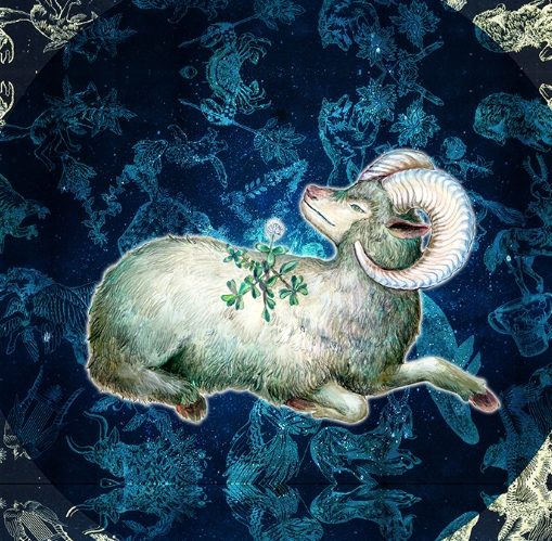 白羊座女生金牛座男生