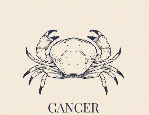 巨蟹男喜歡的女生類型 巨蟹男喜歡的女生類型