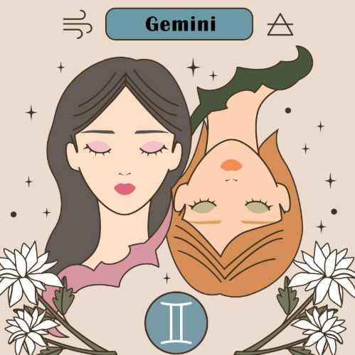 天蝎女双子男配对