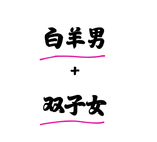 牡羊男雙子女 配對