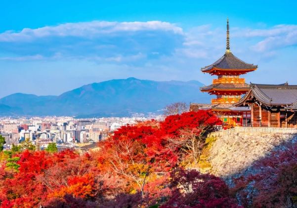 京都紫陽花景點