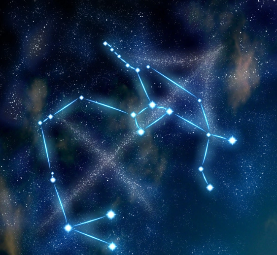 射手座女生喜歡的男生