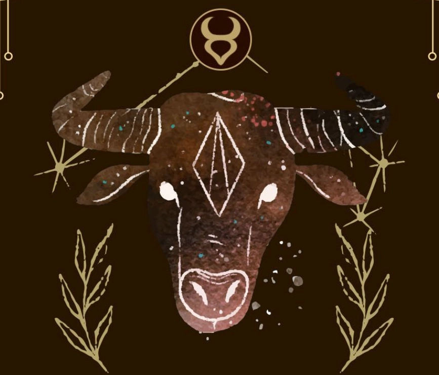 月亮金牛座外貌