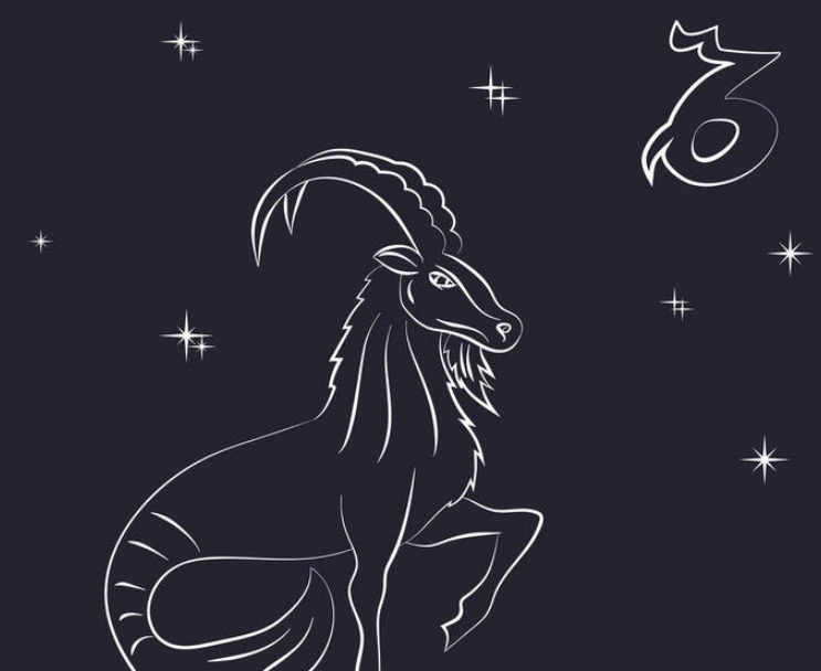 上升摩羯座性格